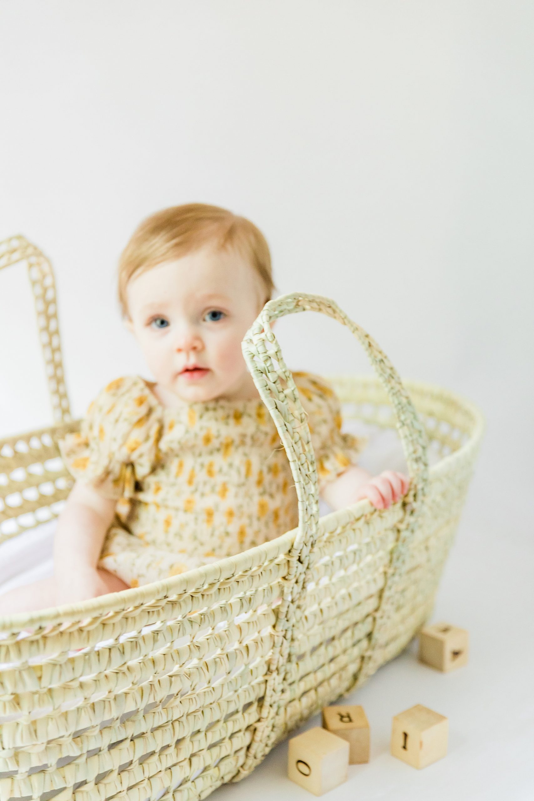 studio baby milestone moses basket